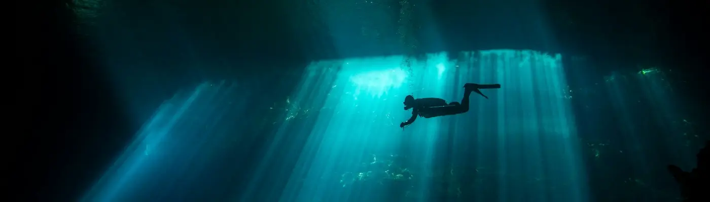 Buceadores explorando un paisaje submarino